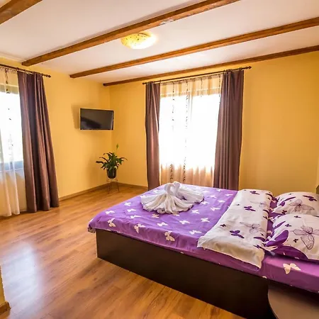 Casa De Vacanta 3* Sadu